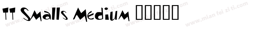 TT Smalls Medium字体转换